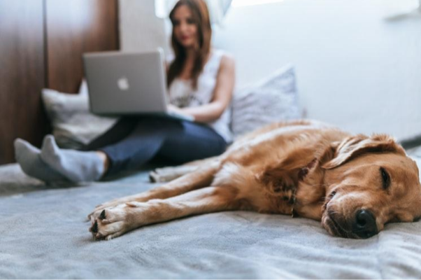 Here’s Why Sleeping with Your Dog Is Actually Good For You and Your Dog