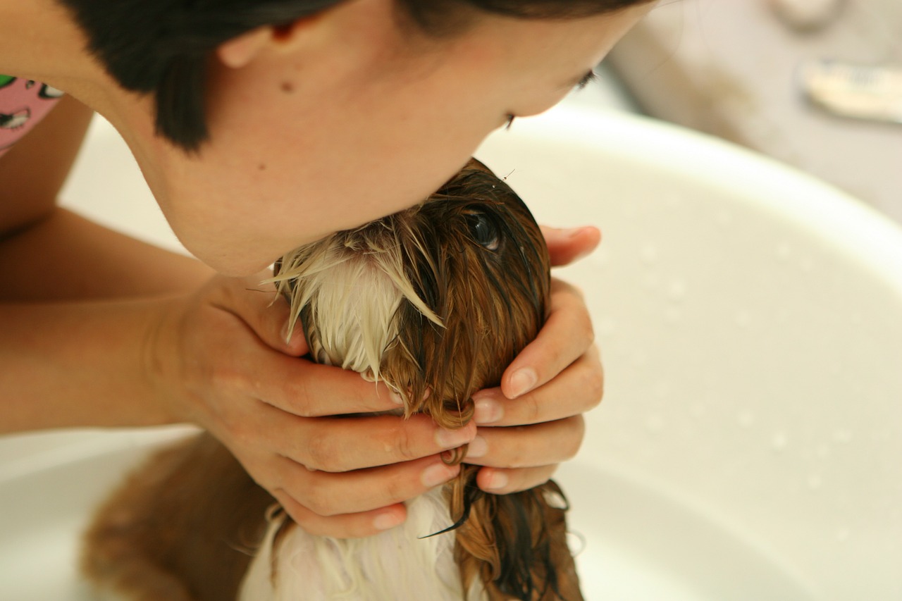 7 Ways to Give Your Dog a Perfect Bath Experience