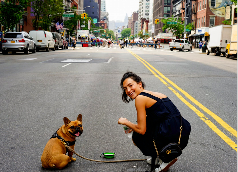 Keeping Your Puppy Healthy in New York