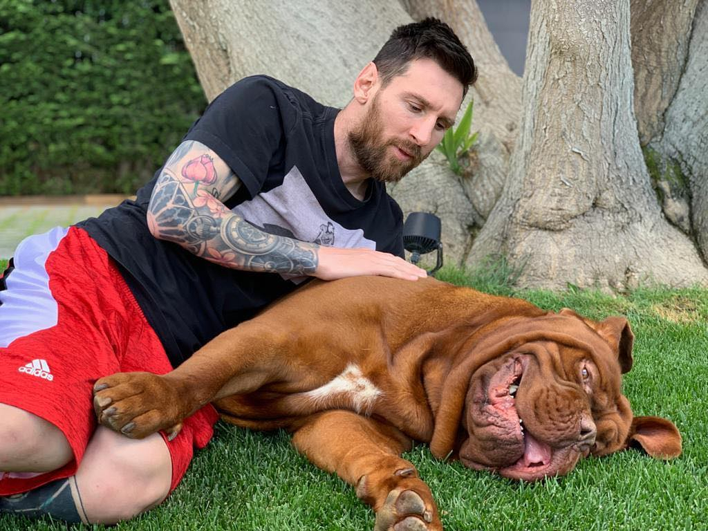 What Type of Dog Breeds Do Pro Athletes Own