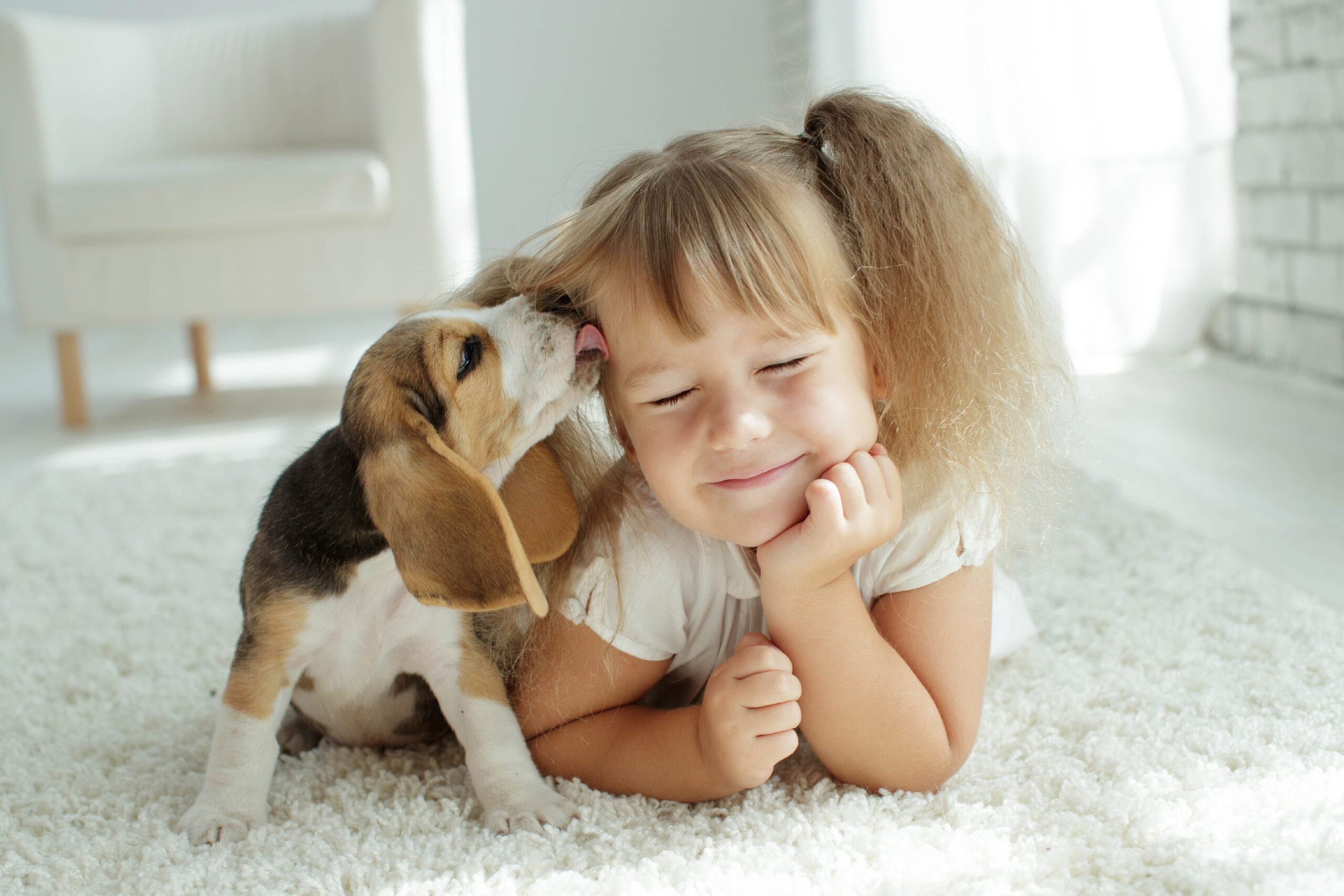 5 Things To Remember When Bringing Home A New Dog