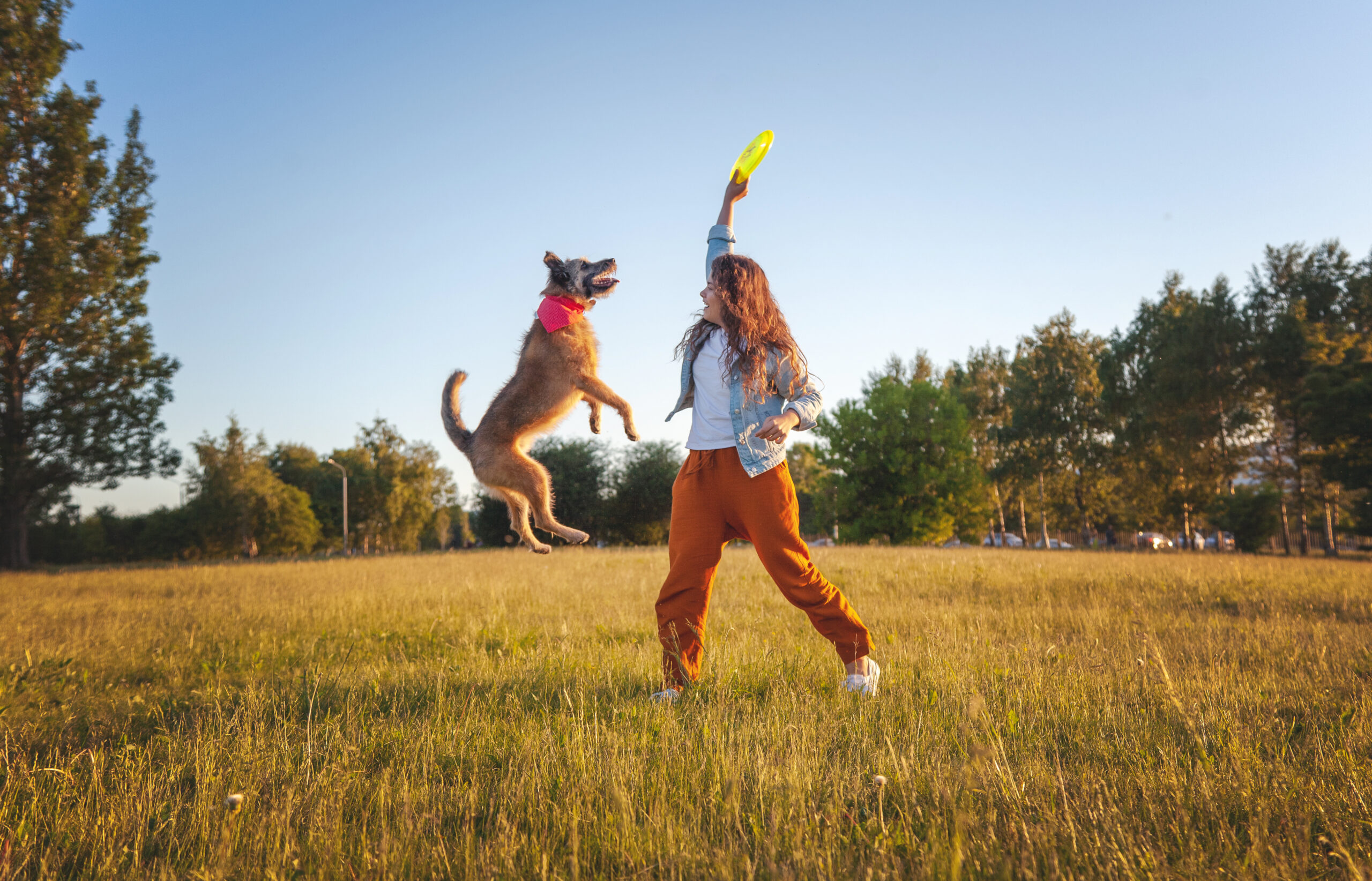5 Outdoor Activities For You And Your Dog