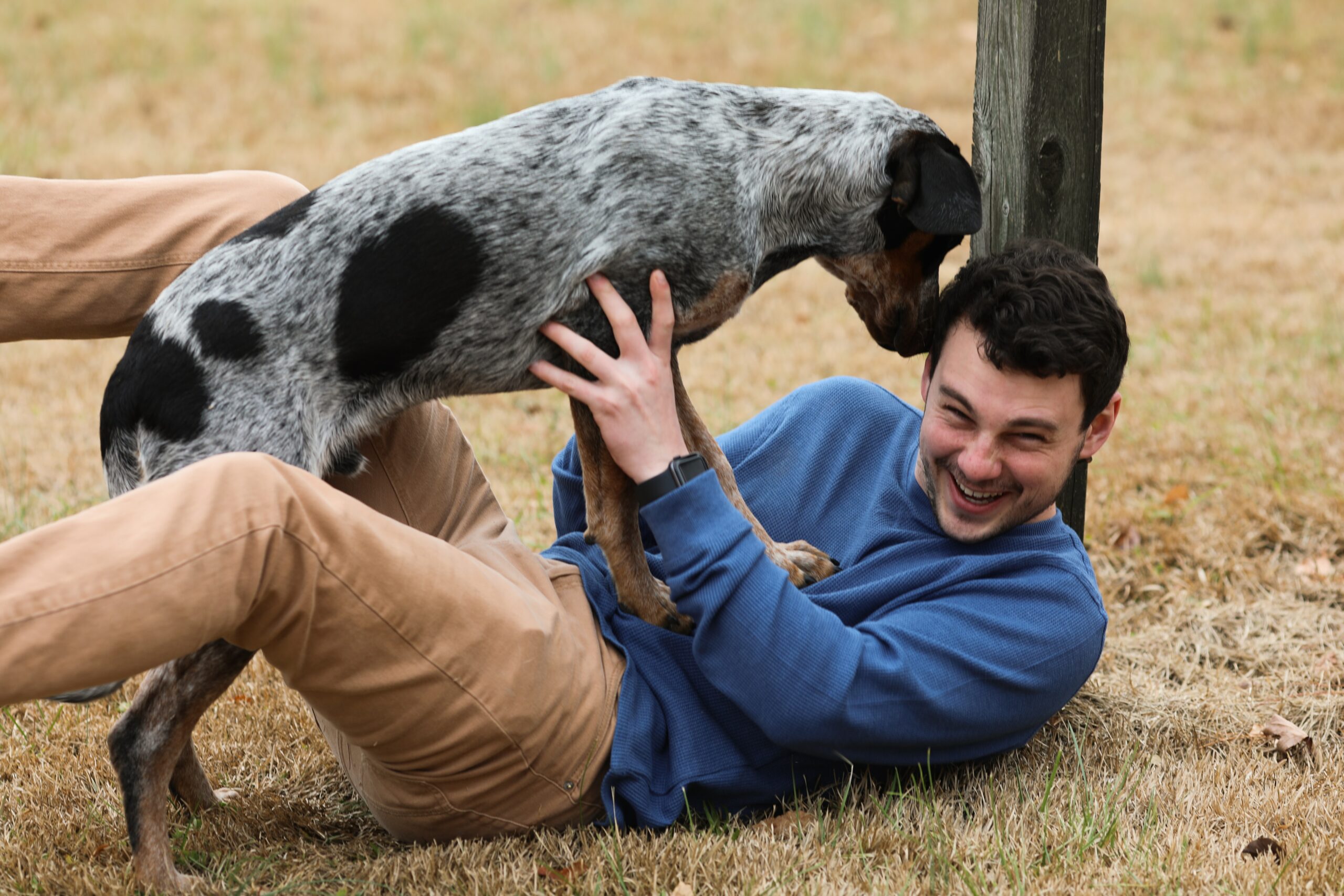 Why Dogs That Play With Their Owners And Other Dogs Are Happier