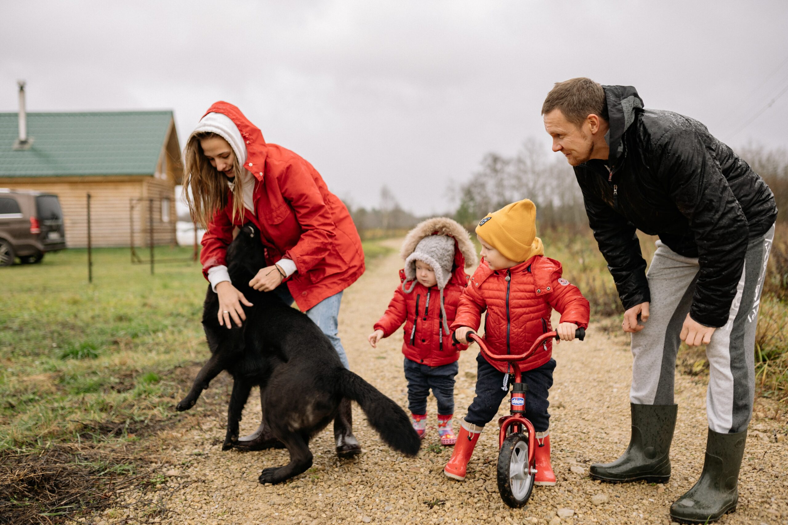5 Best Protection Dogs For Your Family And Home