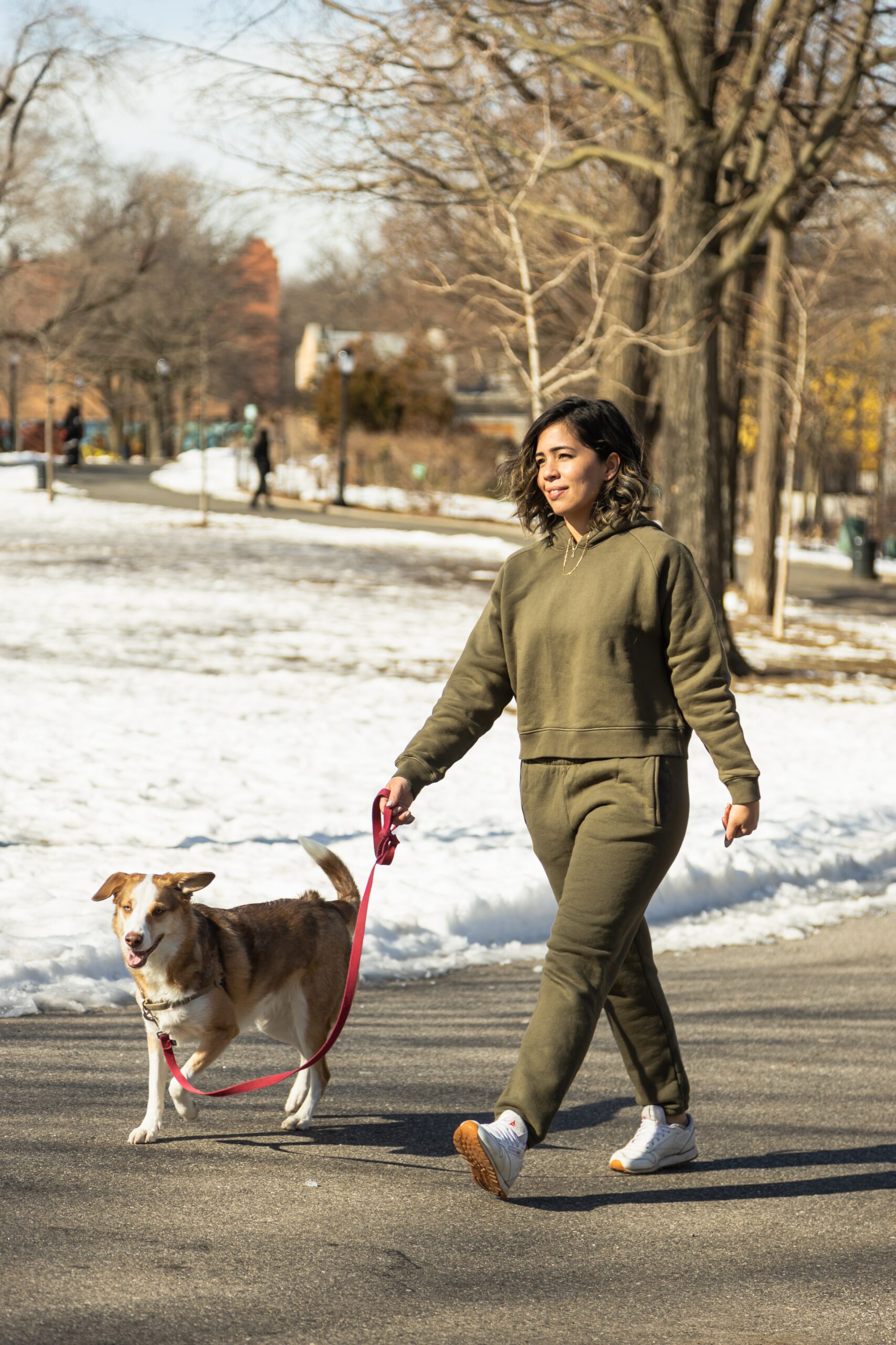 6 Workouts You Can Do With Your Dog