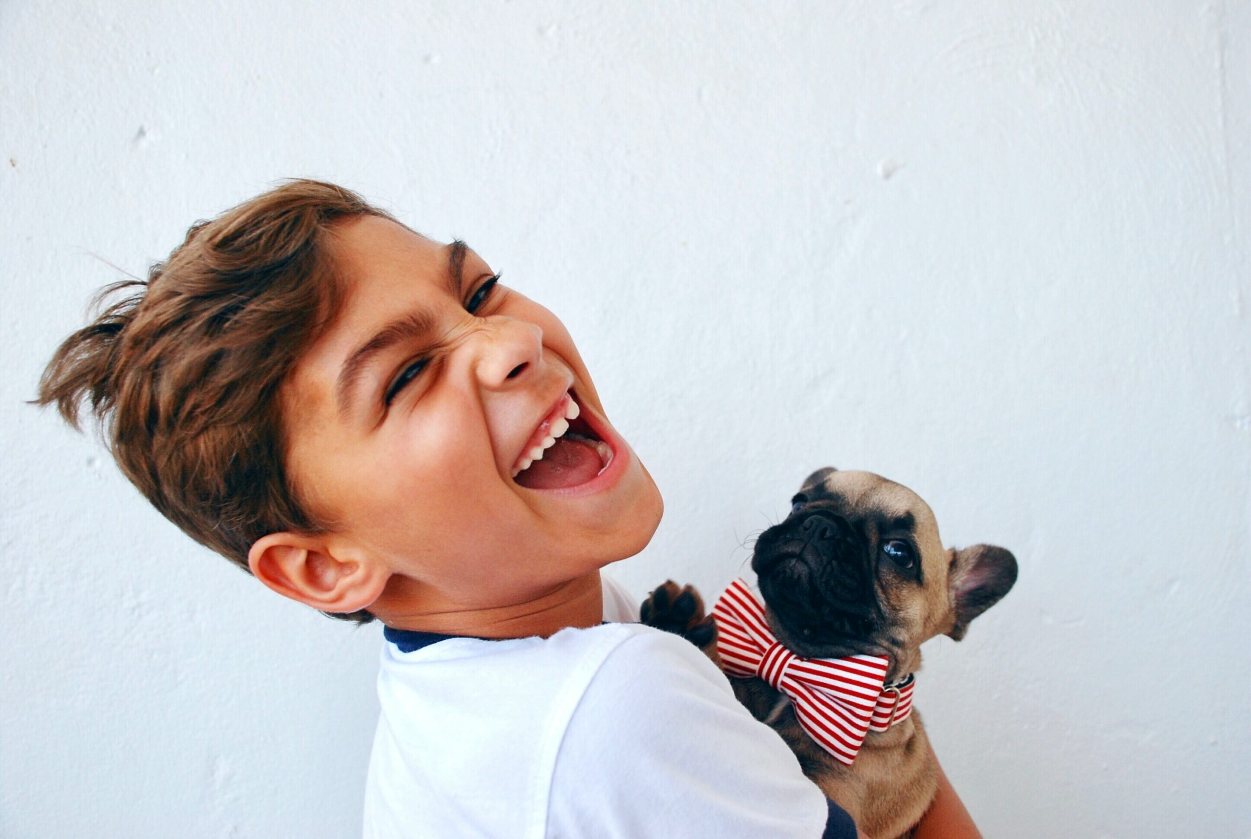 How to Prepare My Kids for a New Puppy 