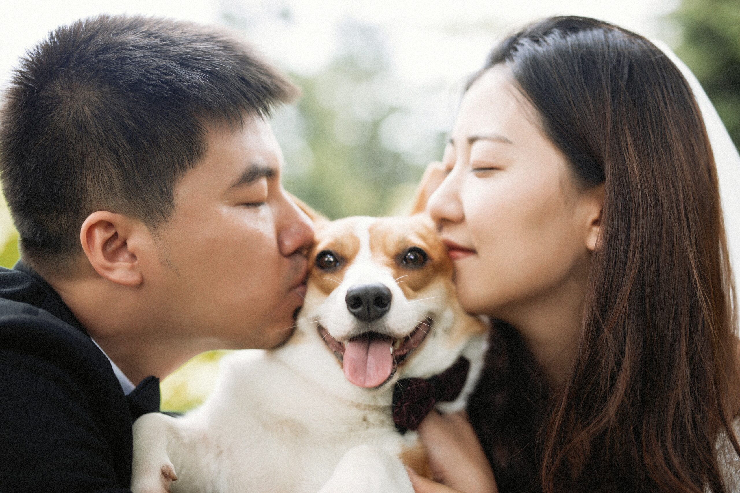 Why Couples Should Adopt a Dog Into Their Lives