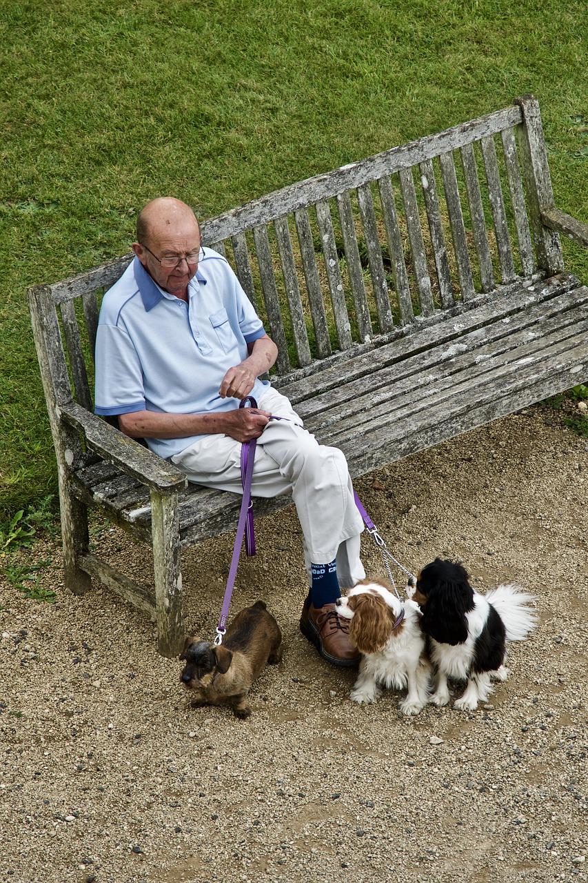 How Pet Ownership Has Health Advantages for the Elderly 