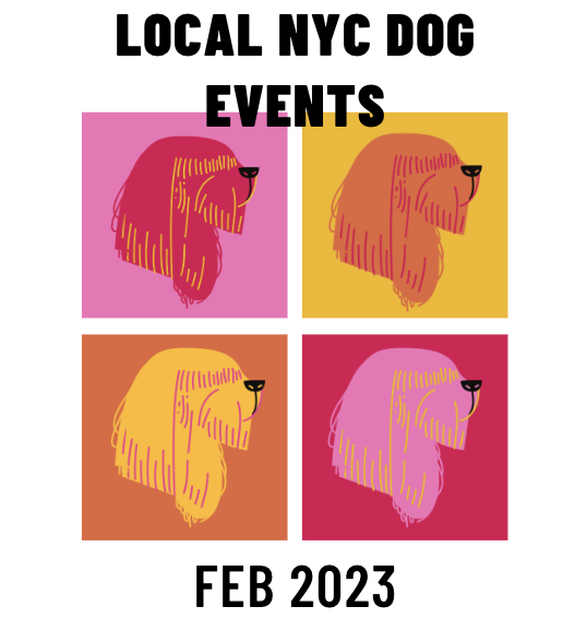 Feb 2023 Local NYC Dog Events & Meet-ups