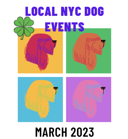 NYC Local Dog Meetups and Outings March 2023