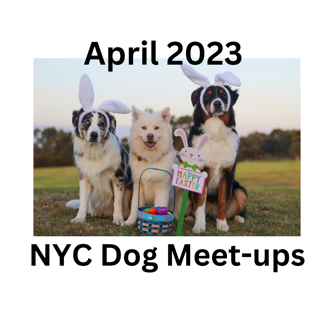 April 2023 Local NYC Dog Meetups and Events