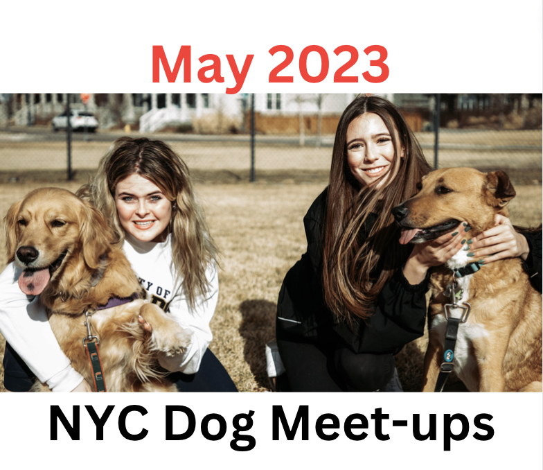 May 2023 NYC Local Dog Meet-ups and Events