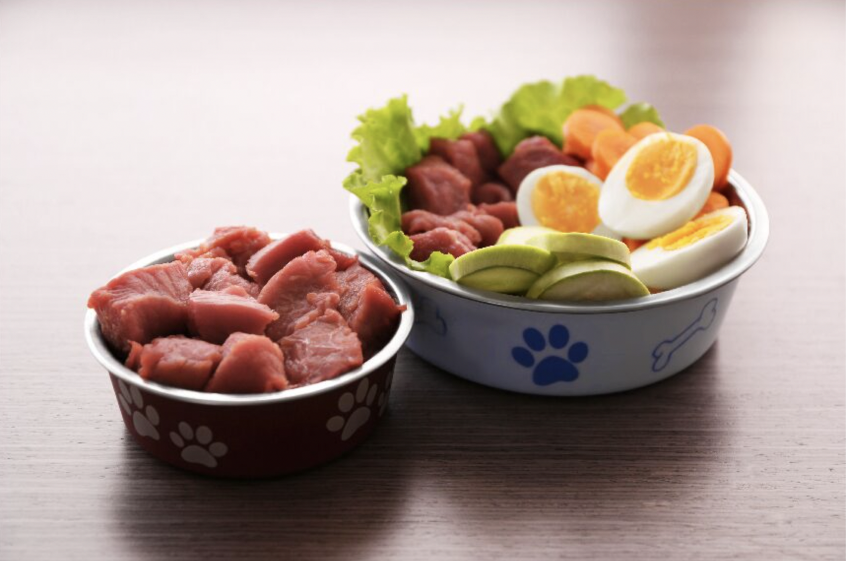 Role of Nutrition in Your Pet’s Health: How Consulting Veterinary Nutritionists Can Help