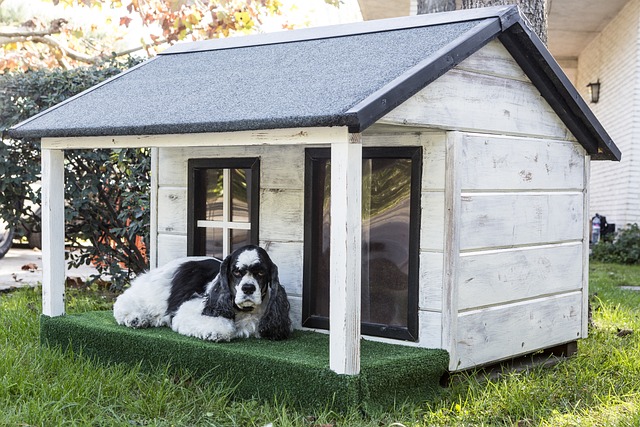 DIY: How to Build an Amazing Backyard Dog House
