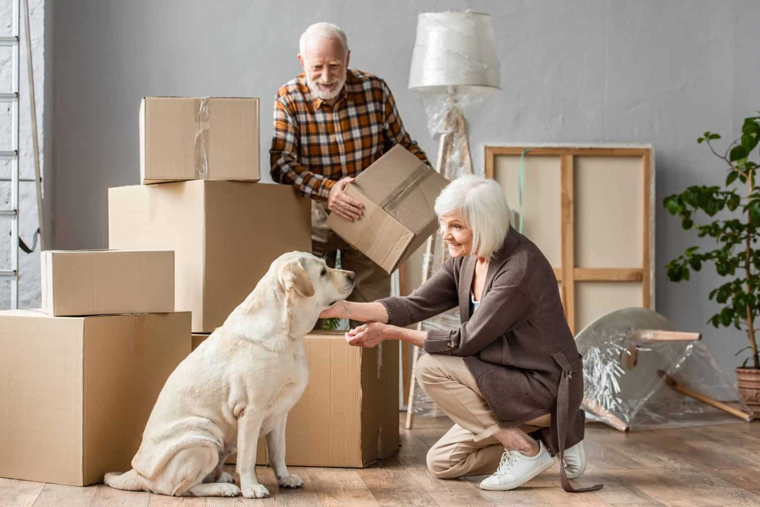 The Ultimate Checklist: Preparing Your Dog for a Long-Distance Move
