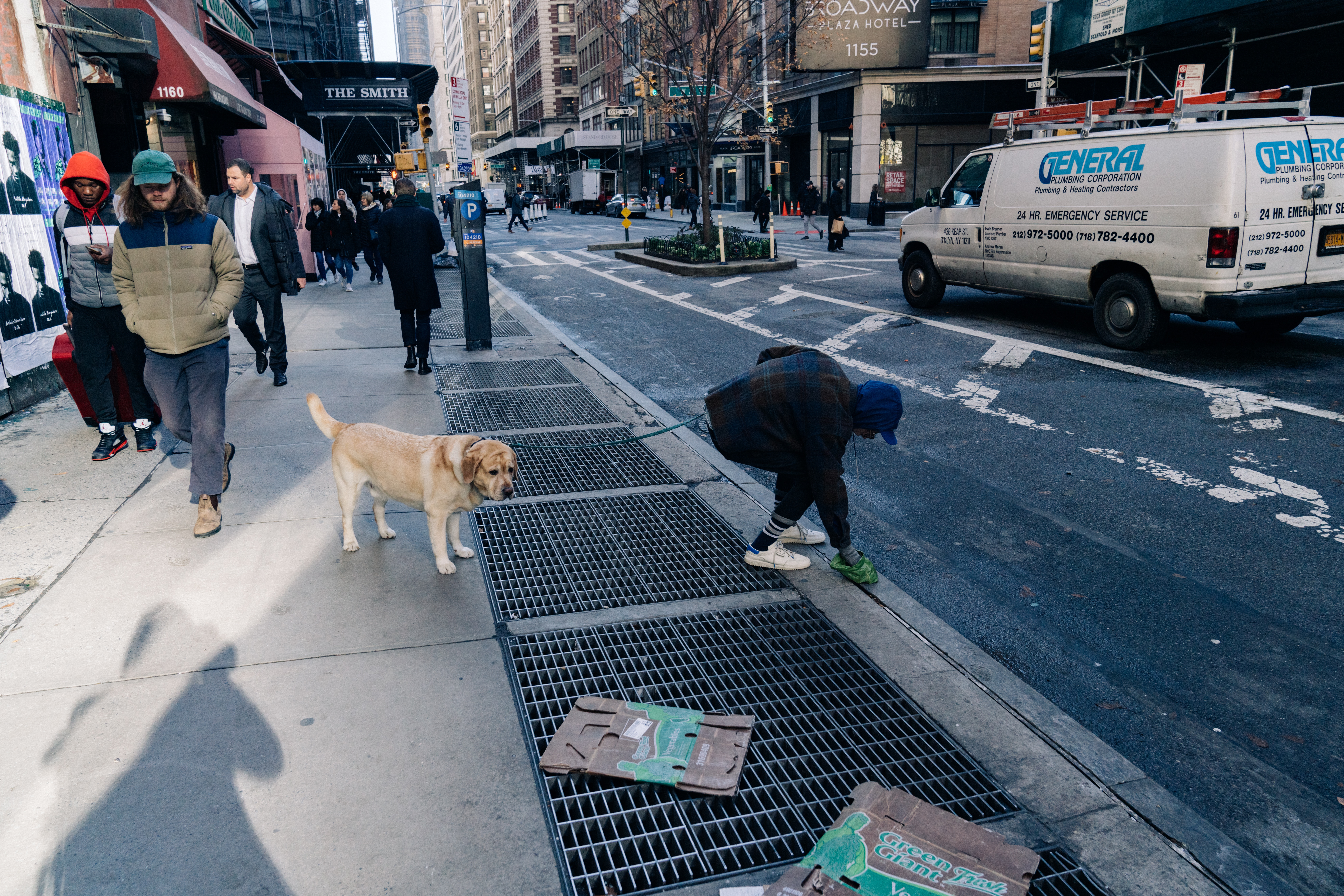 Becoming an Eco-Dog Parent in NYC: Nurturing Your Furry Friend and the Environment