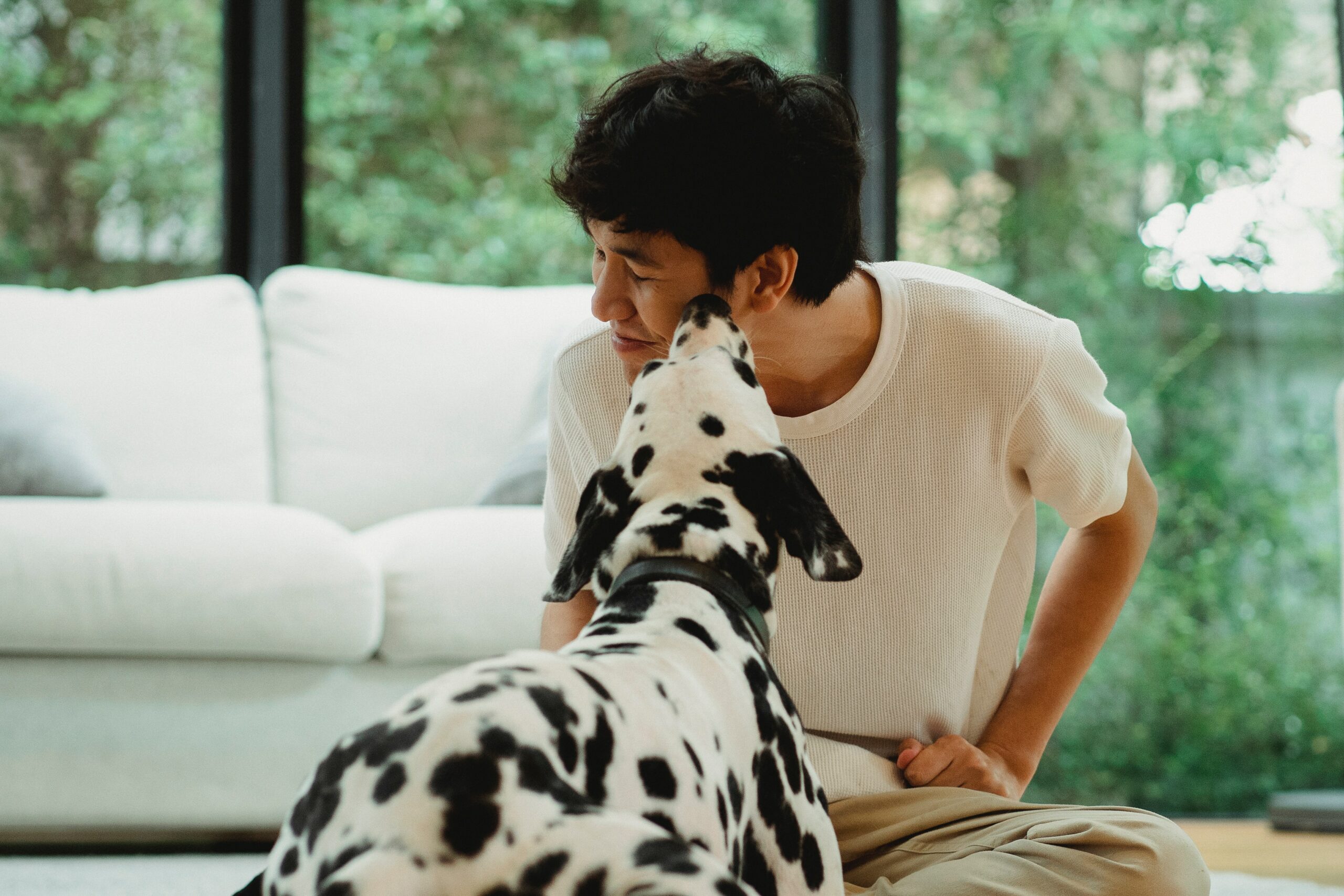7 Ways Your Dog Is Secretly Communicating with You