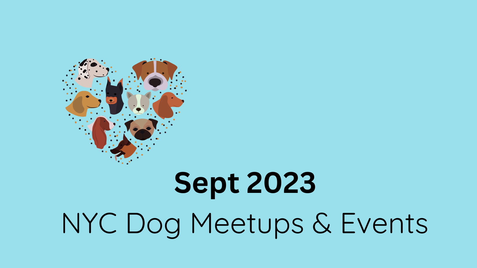 2023 September NYC Local Dog Meet-ups and Outings