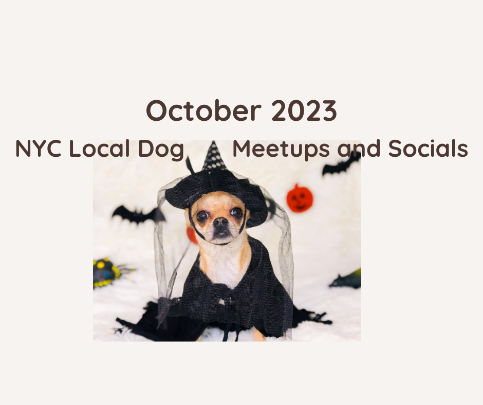 October 2023 Local NYC Dog Meetups and Socials