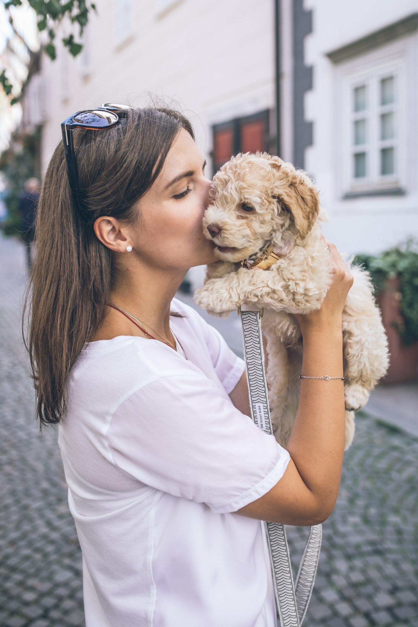 Essential Tips for First-Time Pet Parents
