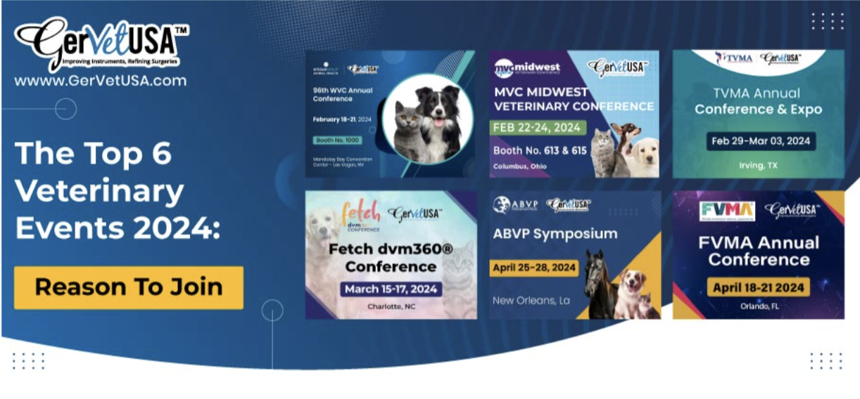 The Top 6 Veterinary Events 2024: Reasons to Join