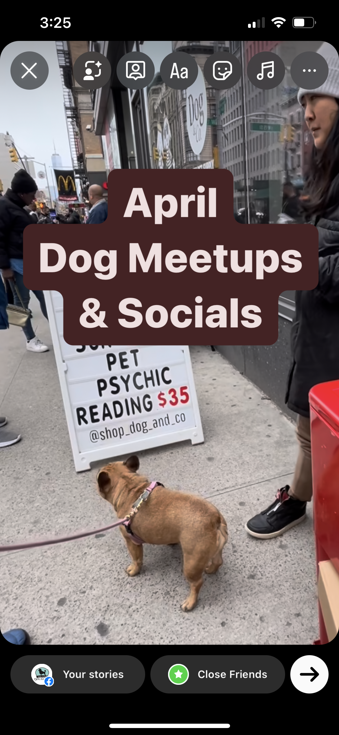 April 2024 Local NYC Dog Events and Outings