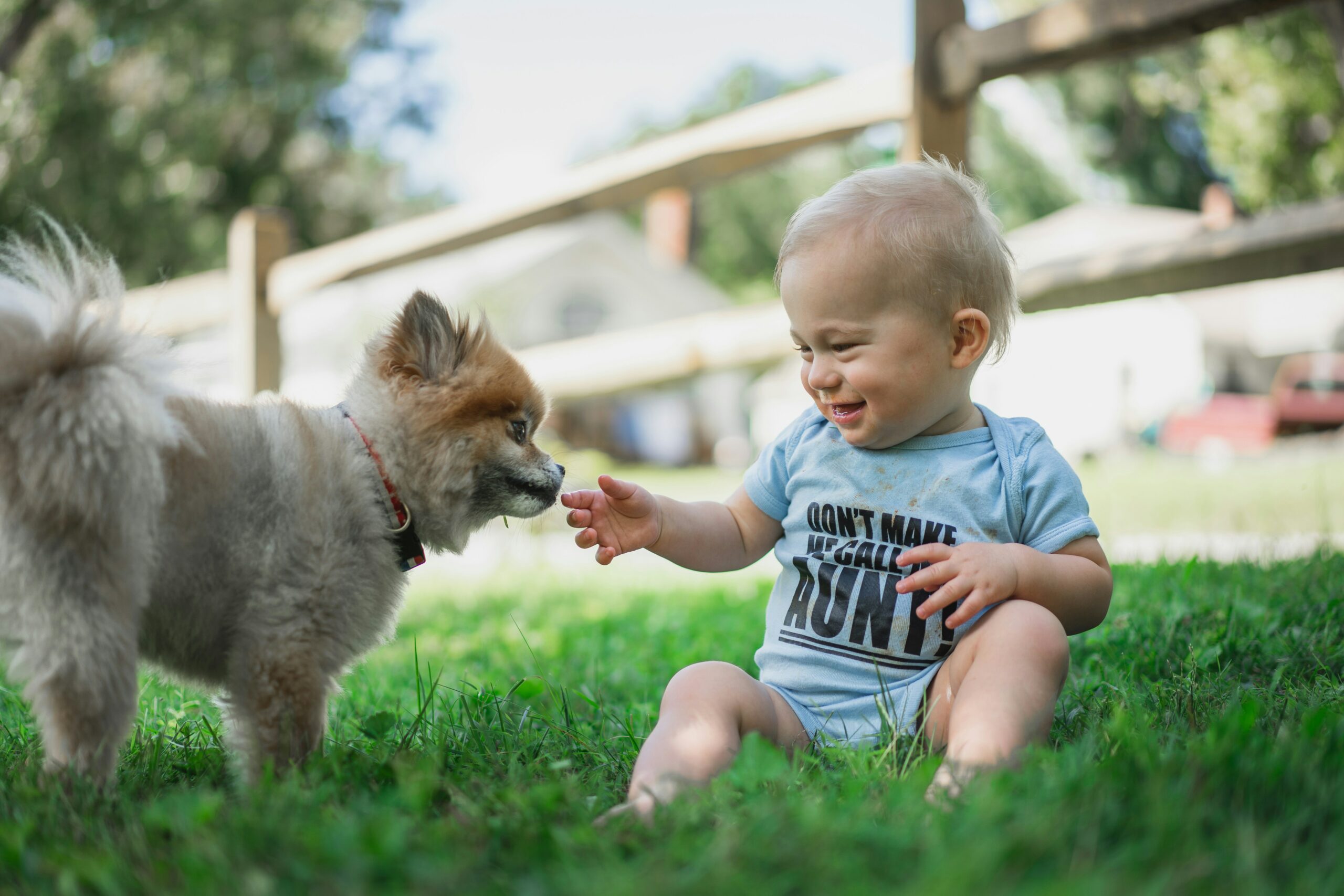 Preparing Your Dog for a New Baby:  A Step-by-Step Guide